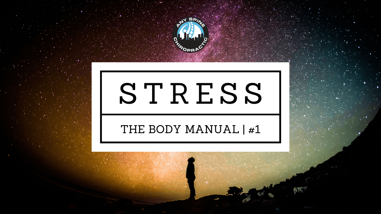 The Body Manual: Lecture 1 | Stress