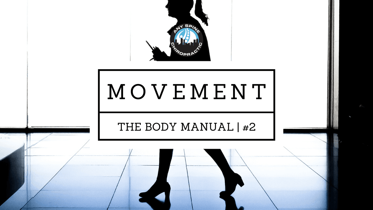 The Body Manual: Lecture 2 | Movement